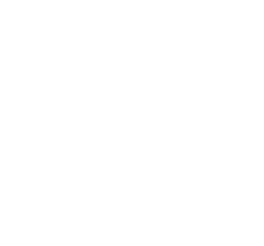 Apex4